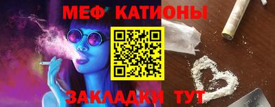 индика Кингисепп