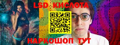 индика Кингисепп