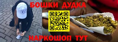 индика Кингисепп