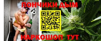 индика Кингисепп