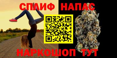 индика Кингисепп