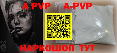 индика Кингисепп