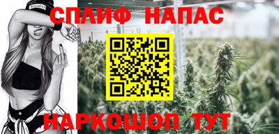 индика Кингисепп