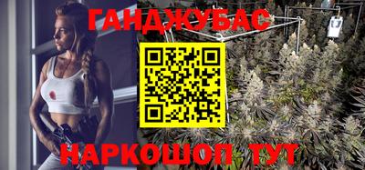 индика Кингисепп