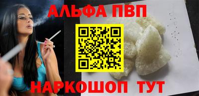индика Кингисепп