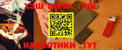 индика Кингисепп