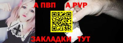 индика Кингисепп